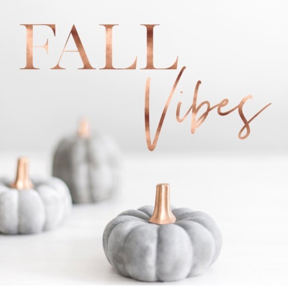 F a l l  A r r i v a l s - Picture 3 of 6